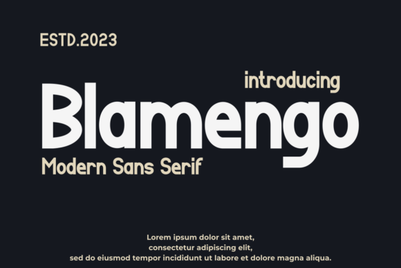 Blamengo: A Modern Typeface for Polished Branding